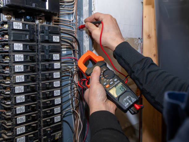 Best Electric Panel Repair  in Brodhead, WI