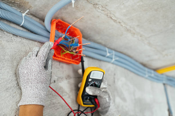 Best Local Electrician Companies  in Brodhead, WI